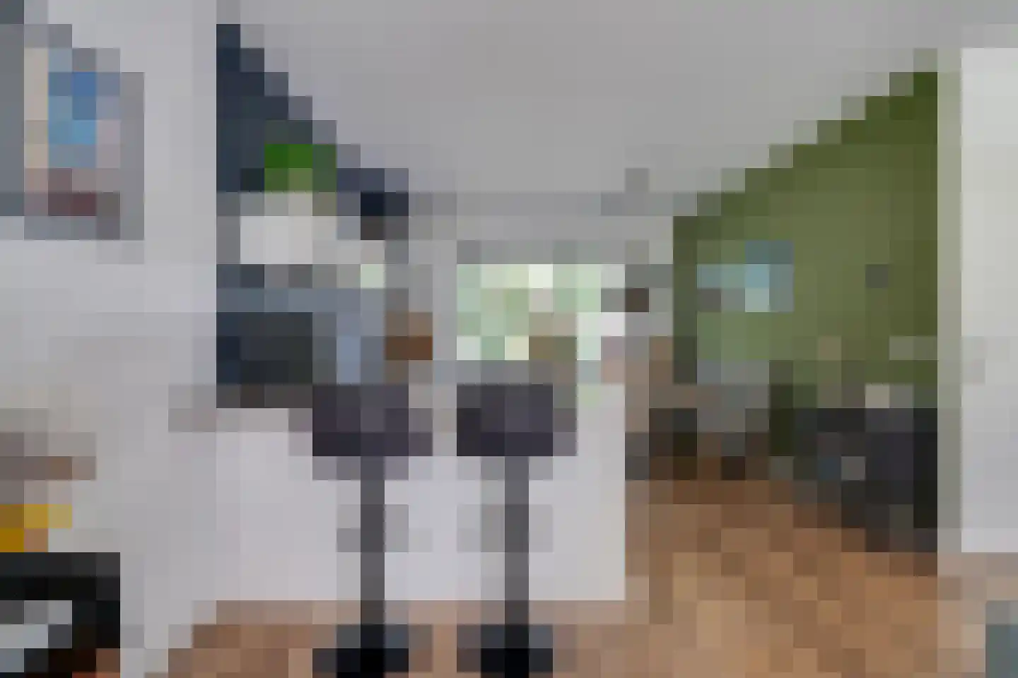 Ilpenwaard 111 Alkmaar thumbnail 15