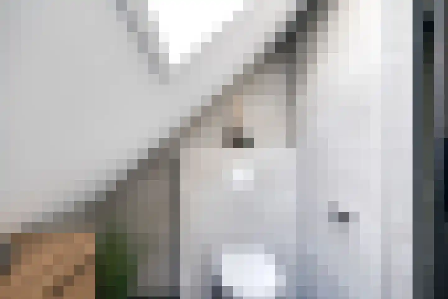 Ilpenwaard 111 Alkmaar thumbnail 28