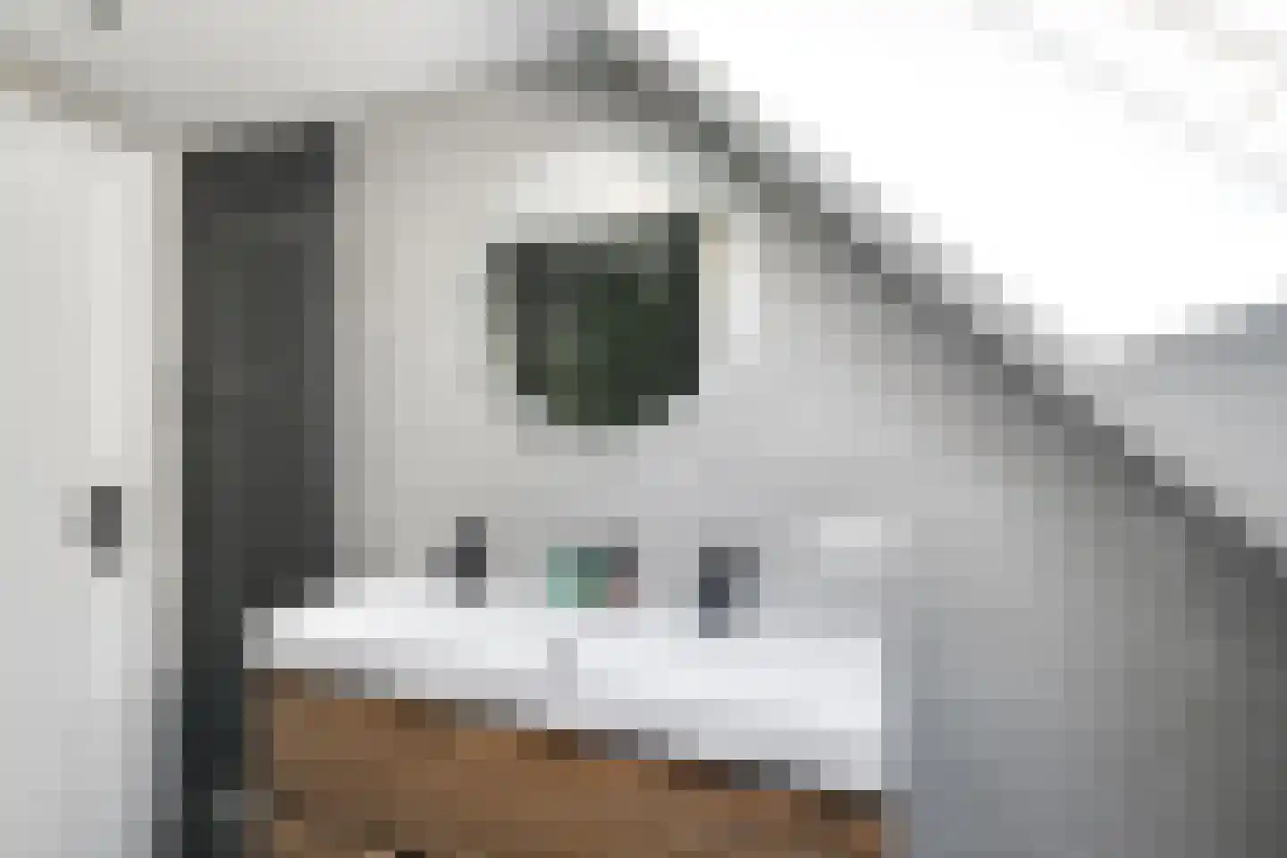 Ilpenwaard 111 Alkmaar thumbnail 31