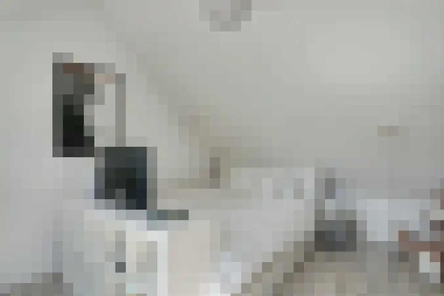 Ilpenwaard 111 Alkmaar thumbnail 36