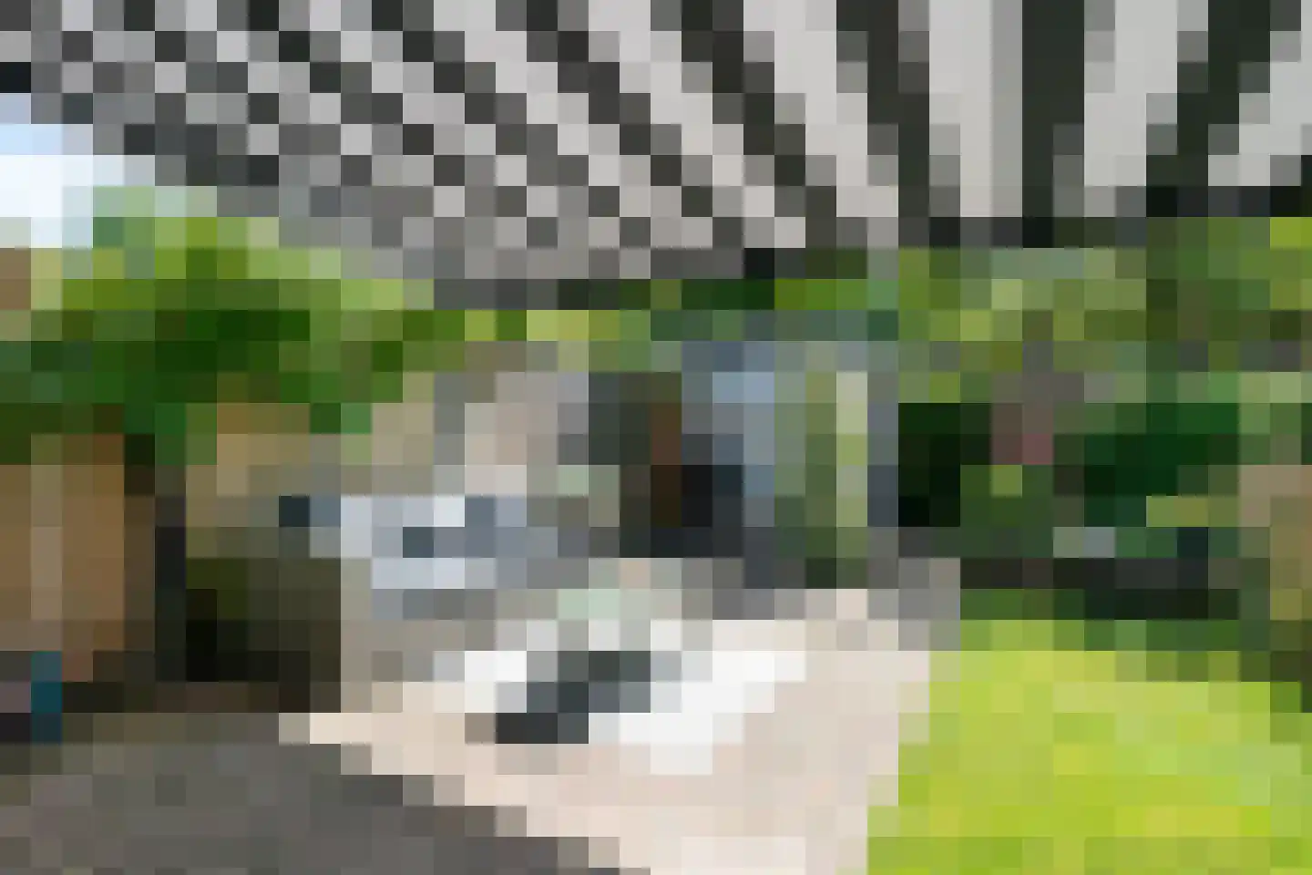 Ilpenwaard 111 Alkmaar thumbnail 43