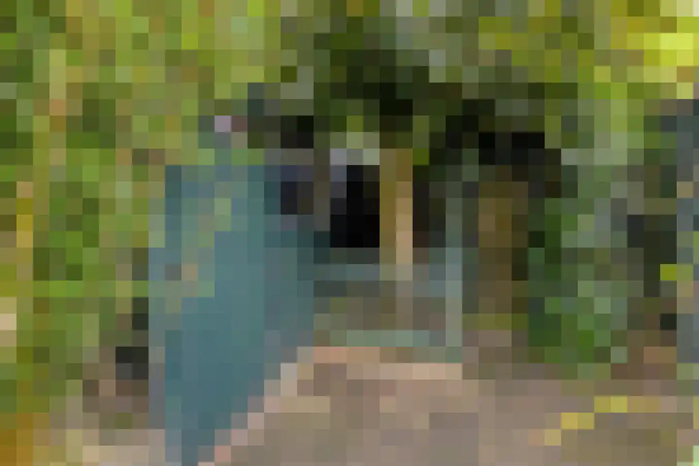 Ilpenwaard 51 Alkmaar thumbnail 14
