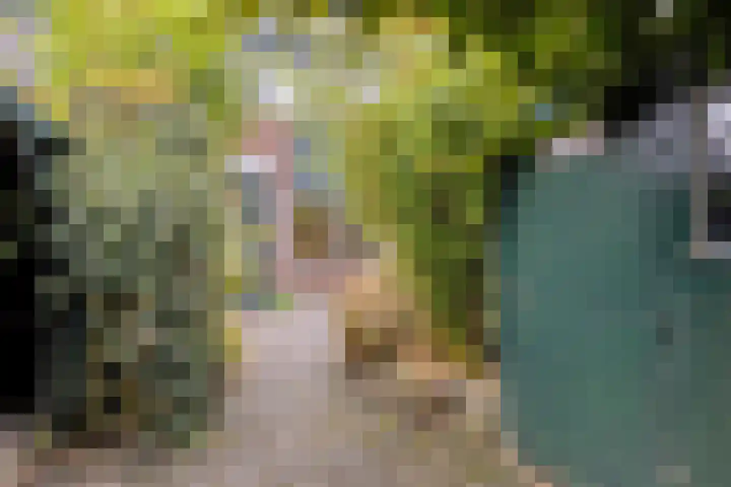 Ilpenwaard 51 Alkmaar thumbnail 15