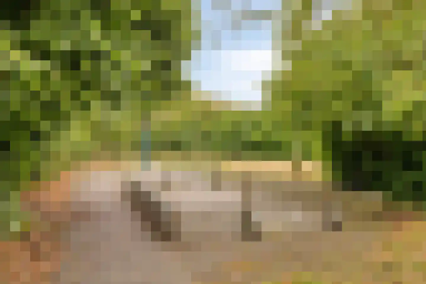 Ilpenwaard 51 Alkmaar thumbnail 33