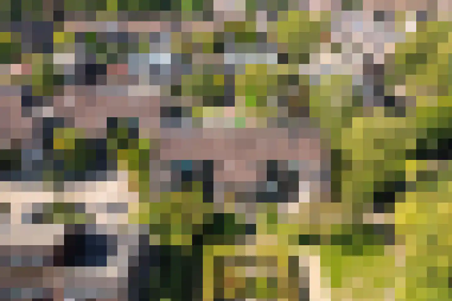 Ilpenwaard 51 Alkmaar thumbnail 35
