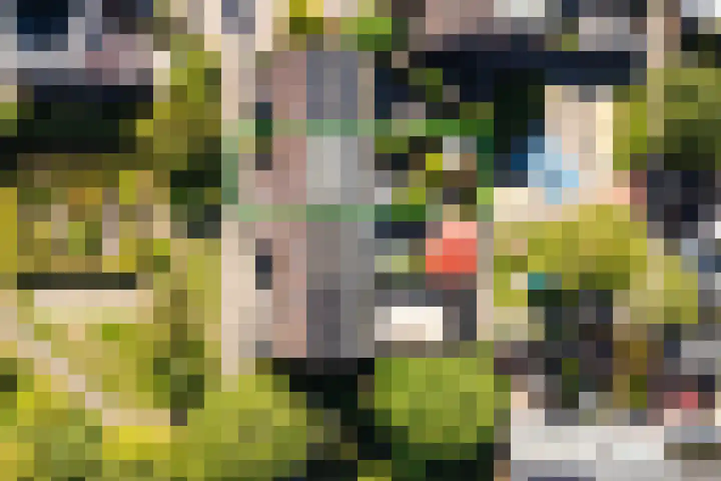 Ilpenwaard 51 Alkmaar thumbnail 36