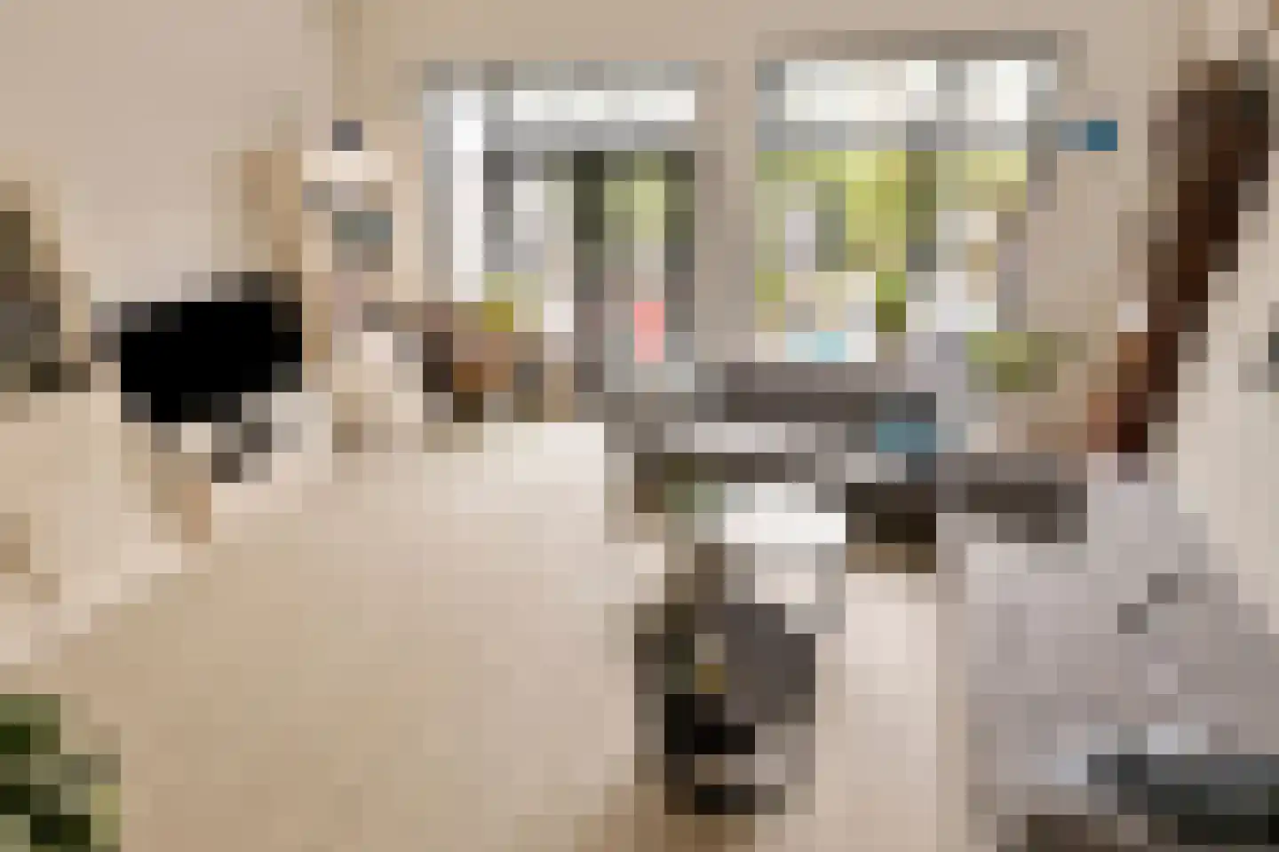 Ilpenwaard 89 Alkmaar thumbnail 10