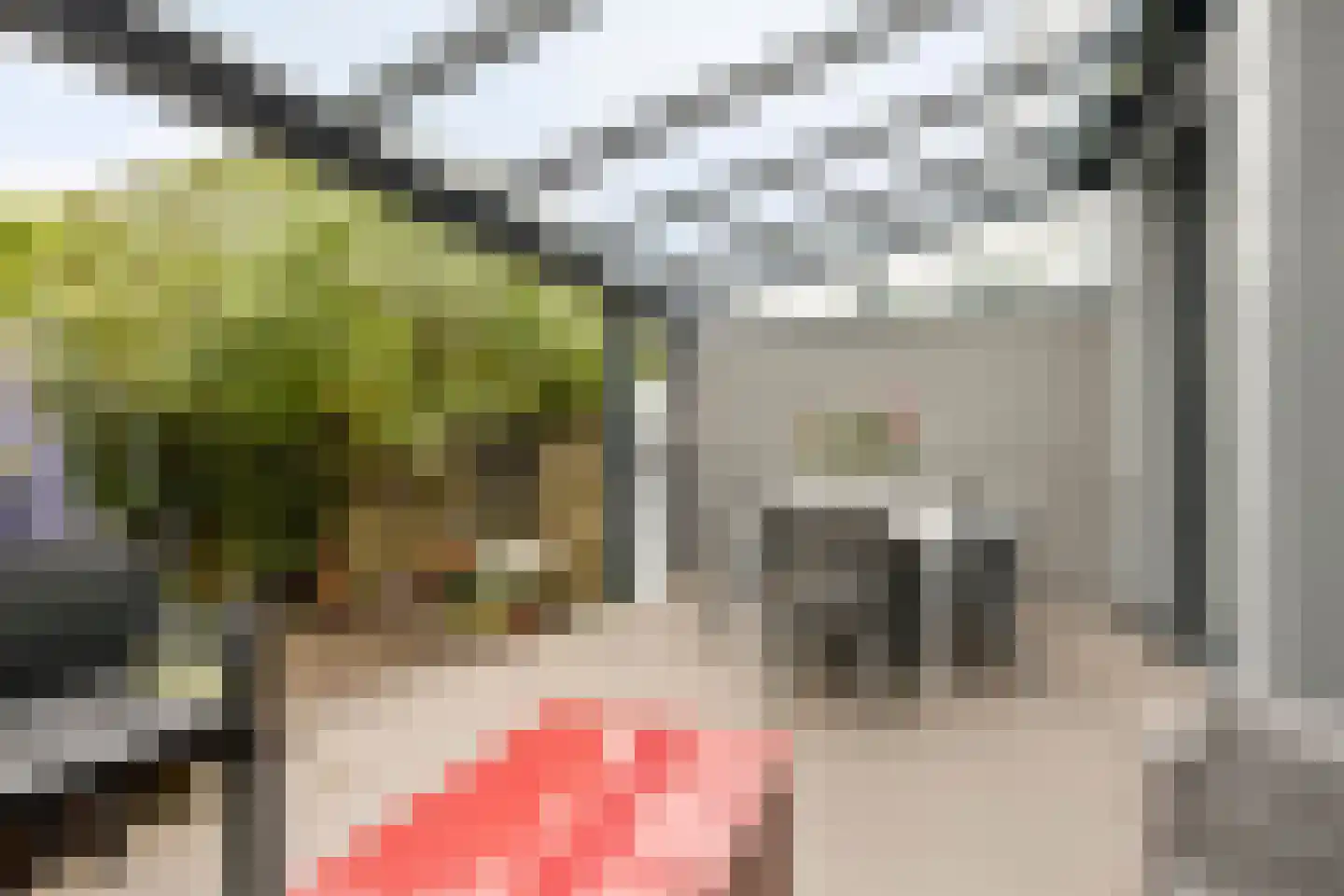 Ilpenwaard 89 Alkmaar thumbnail 11