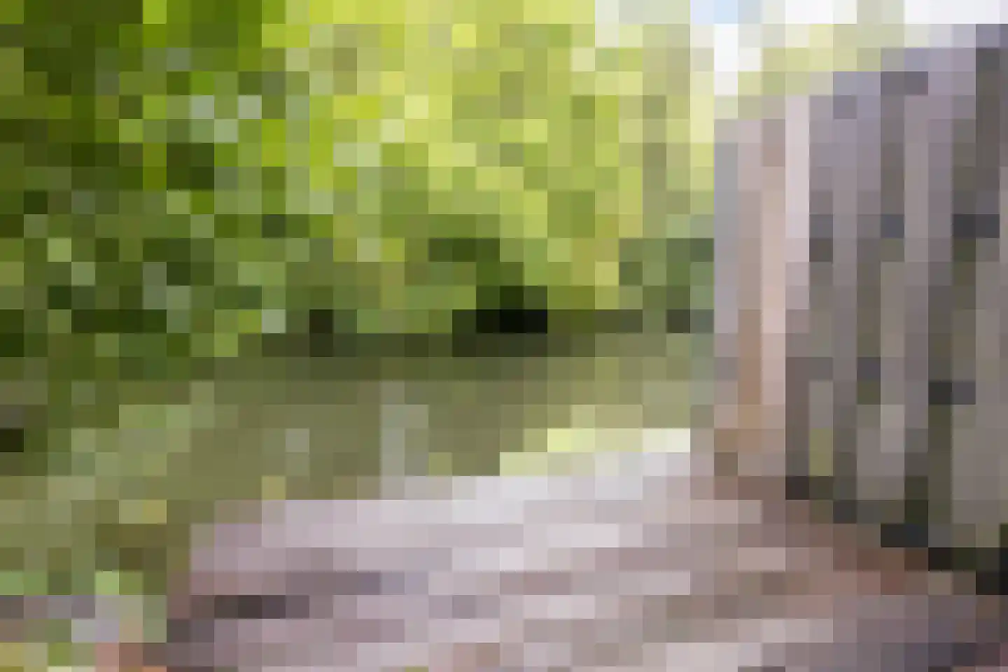 Ilpenwaard 89 Alkmaar thumbnail 13