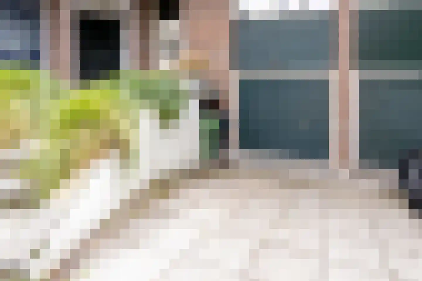 Ilpenwaard 89 Alkmaar thumbnail 6