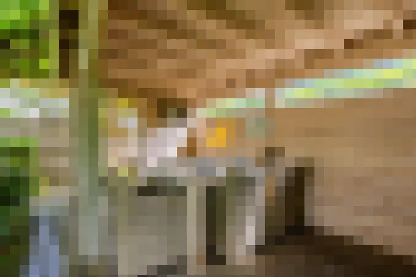 Ilperveld 13 Nieuw-Vennep thumbnail 38