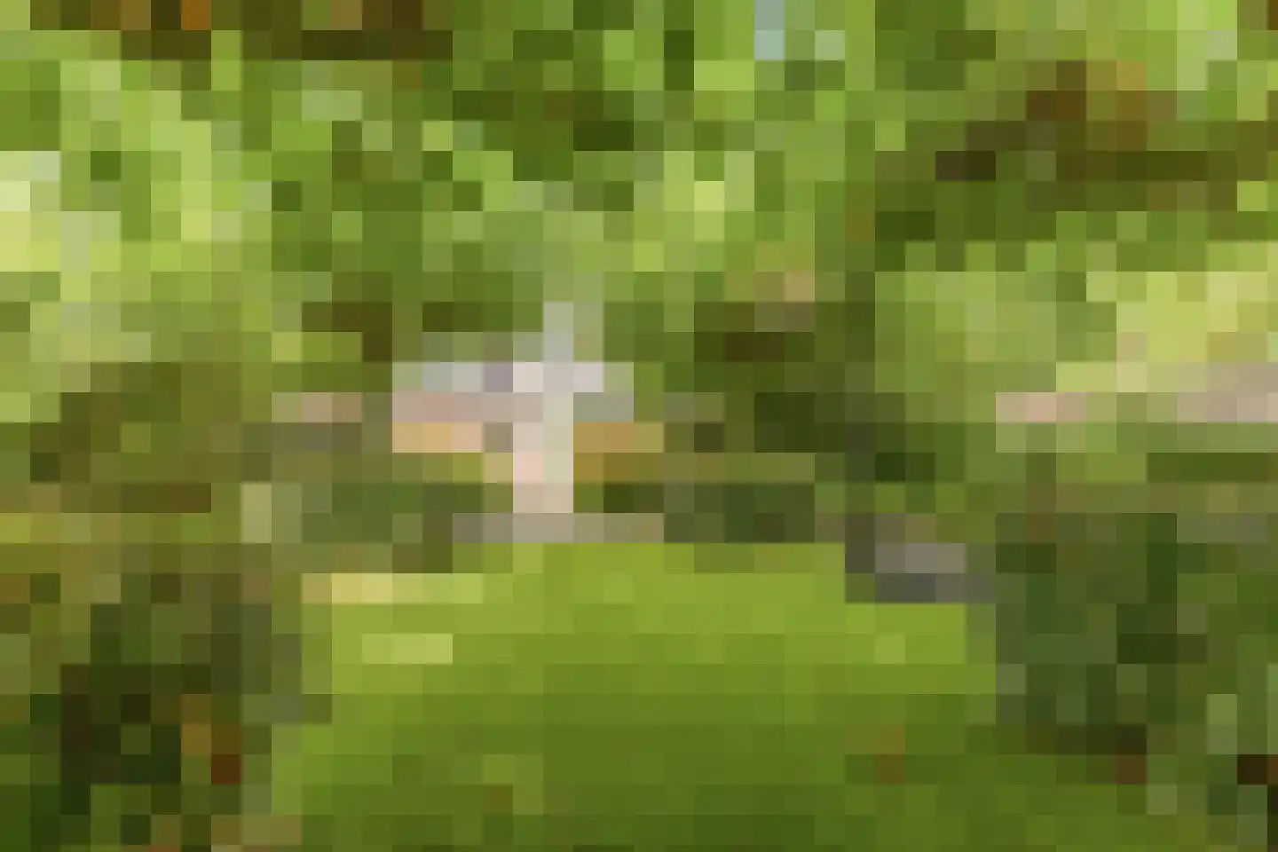 Ilperveld 13 Nieuw-Vennep thumbnail 39