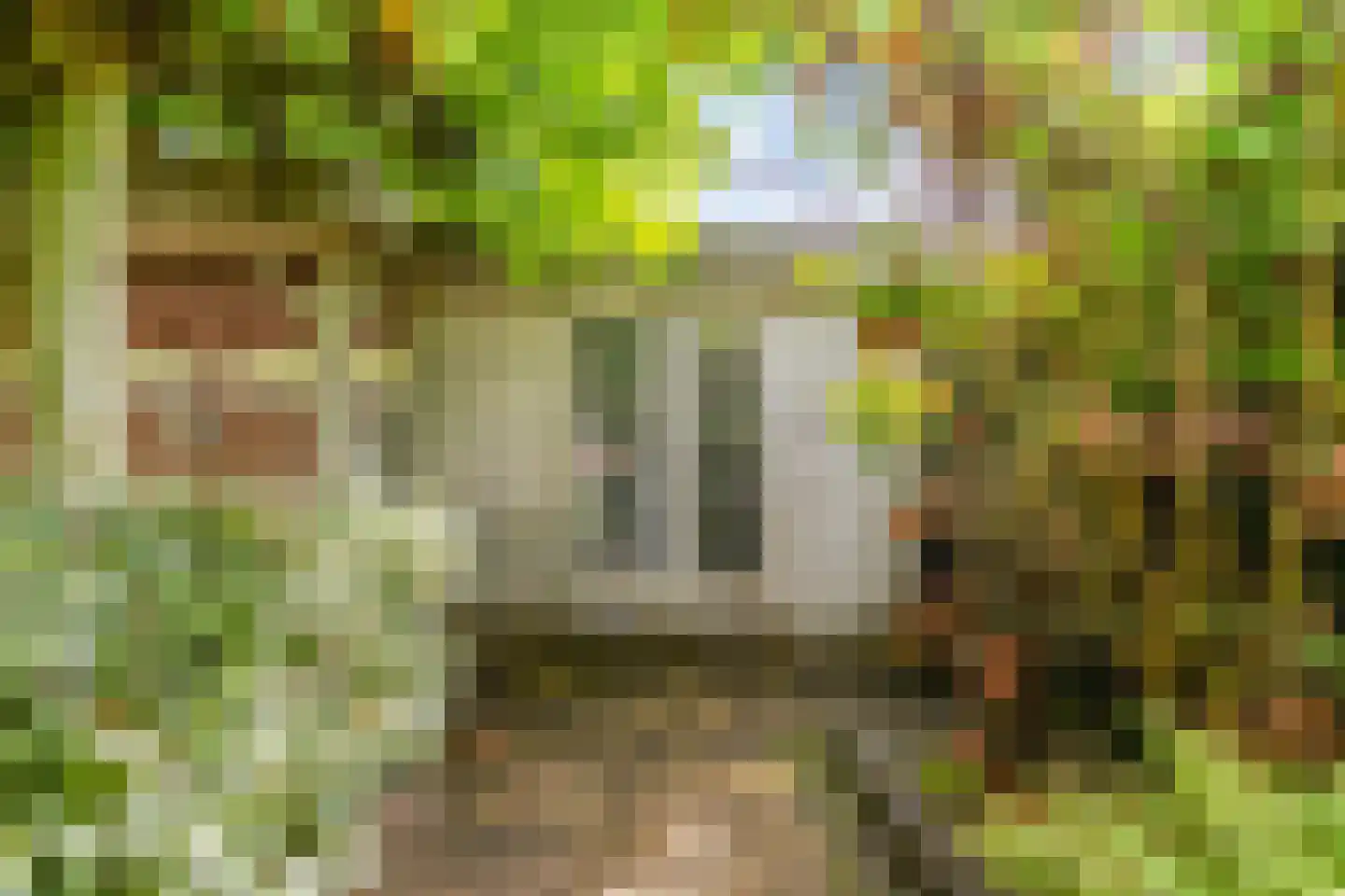 Ilperveld 13 Nieuw-Vennep thumbnail 40