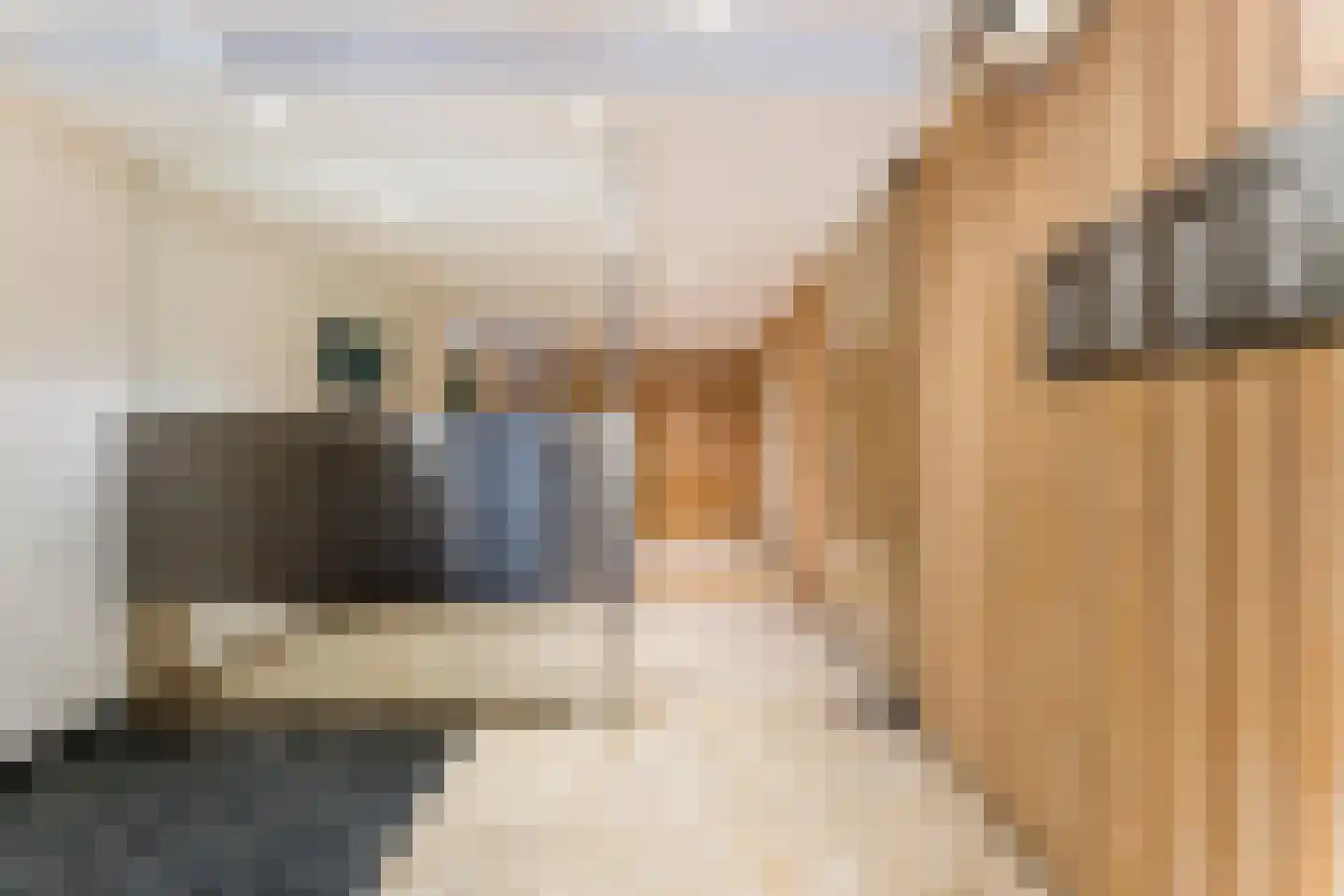 Ilperveldstraat 12 Amsterdam thumbnail 8