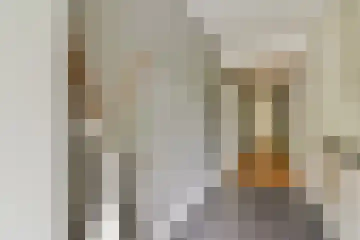 Ilperveldstraat 44 Amsterdam thumbnail 10