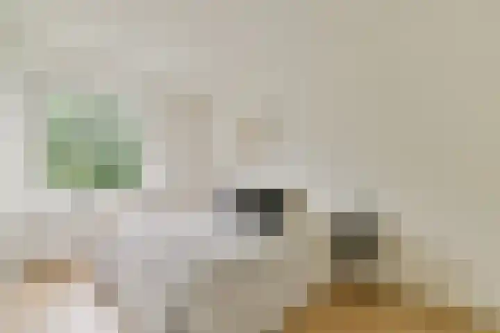 Ilperveldstraat 44 Amsterdam thumbnail 13