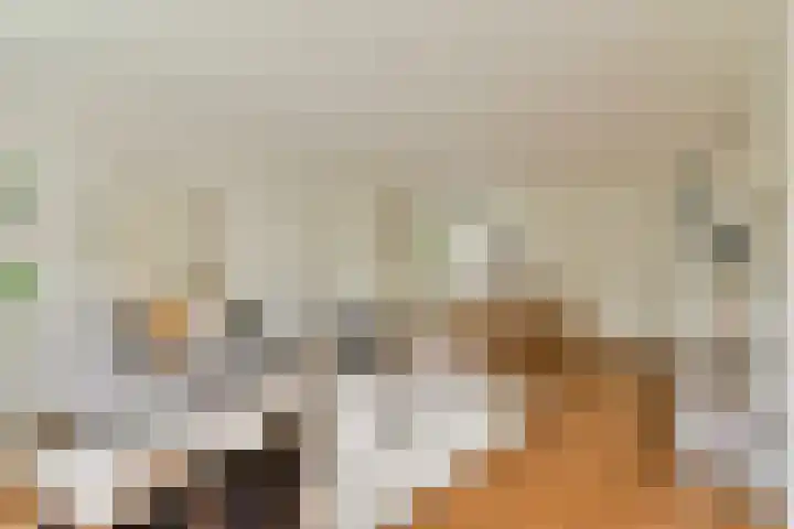 Ilperveldstraat 44 Amsterdam thumbnail 7
