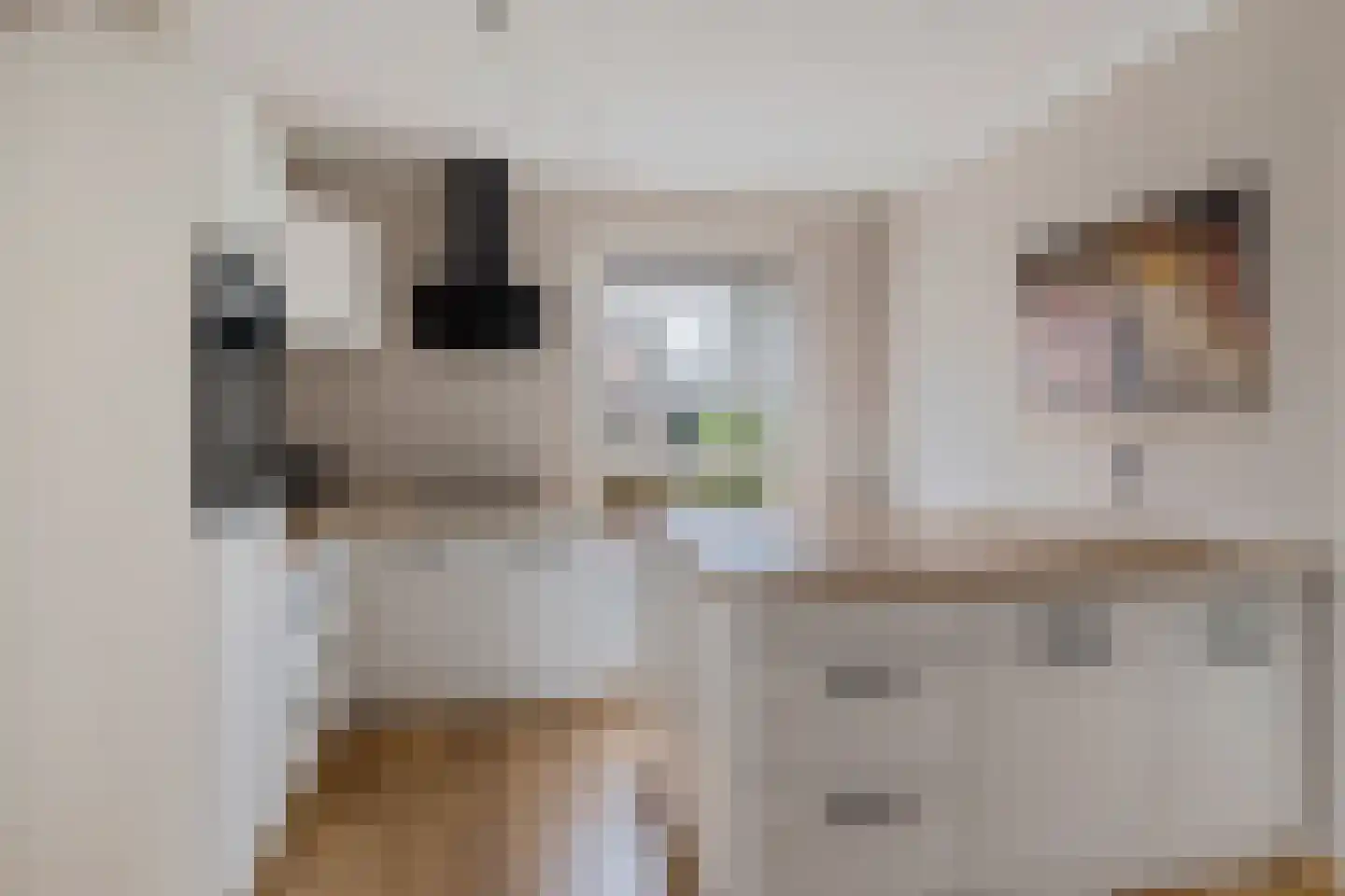 Im Goor 2 Goor thumbnail 14