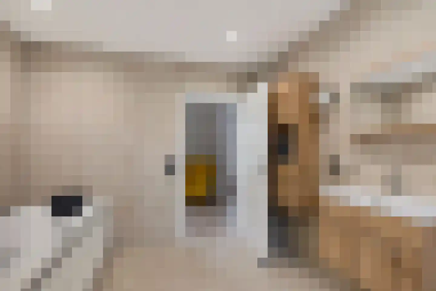Im Goor 2 Goor thumbnail 22