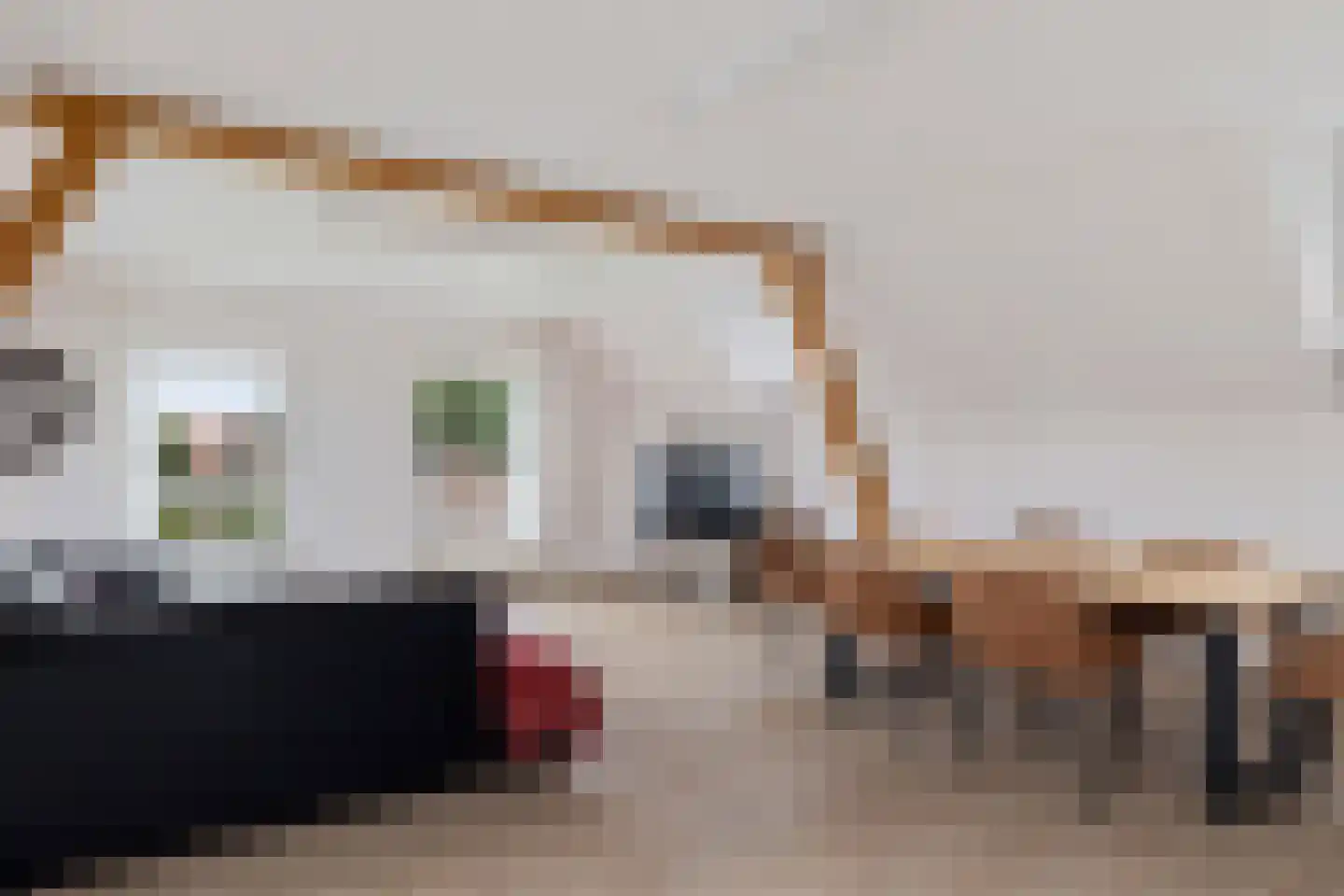 Im Goor 2 Goor thumbnail 36