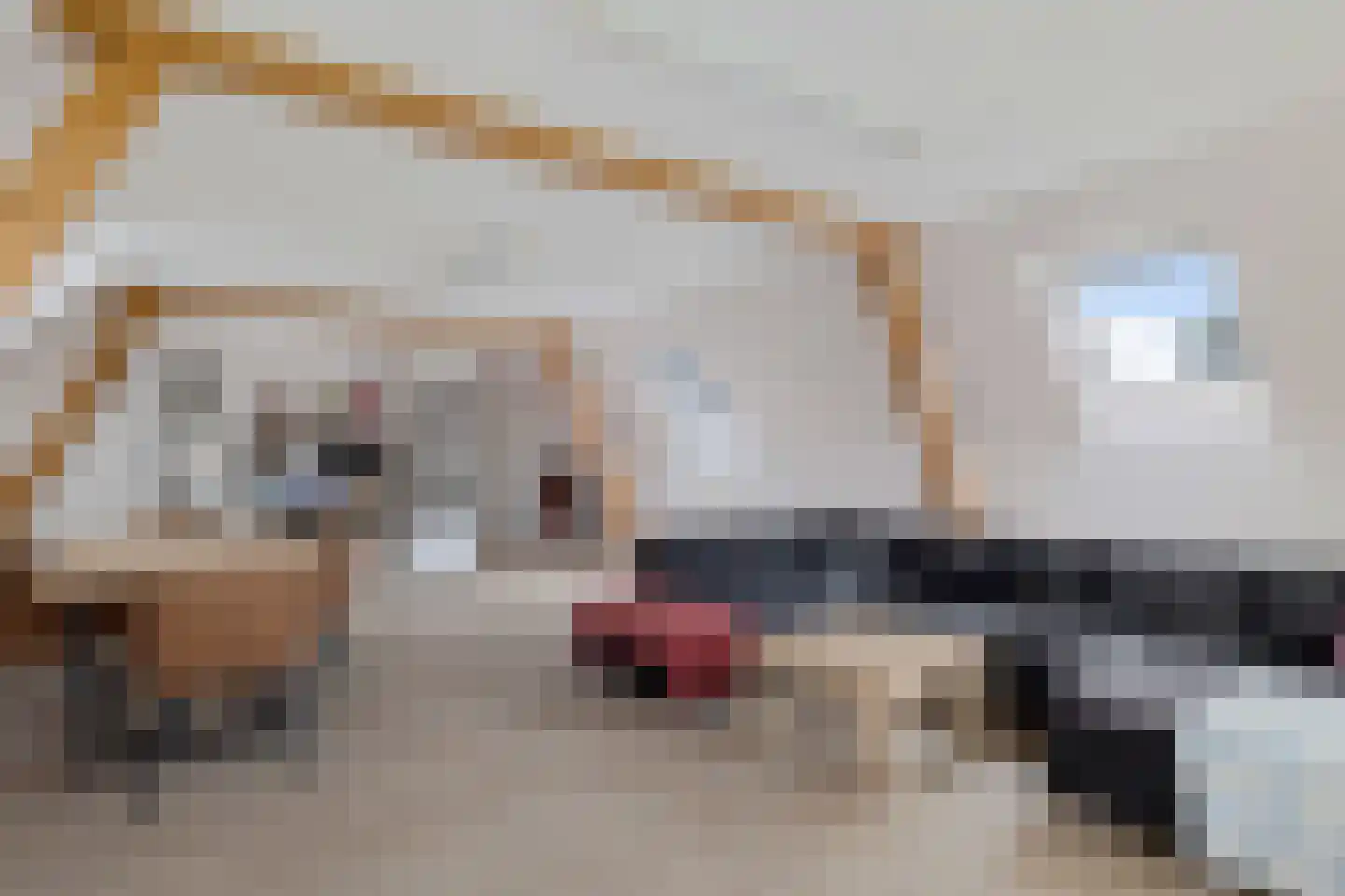 Im Goor 2 Goor thumbnail 38