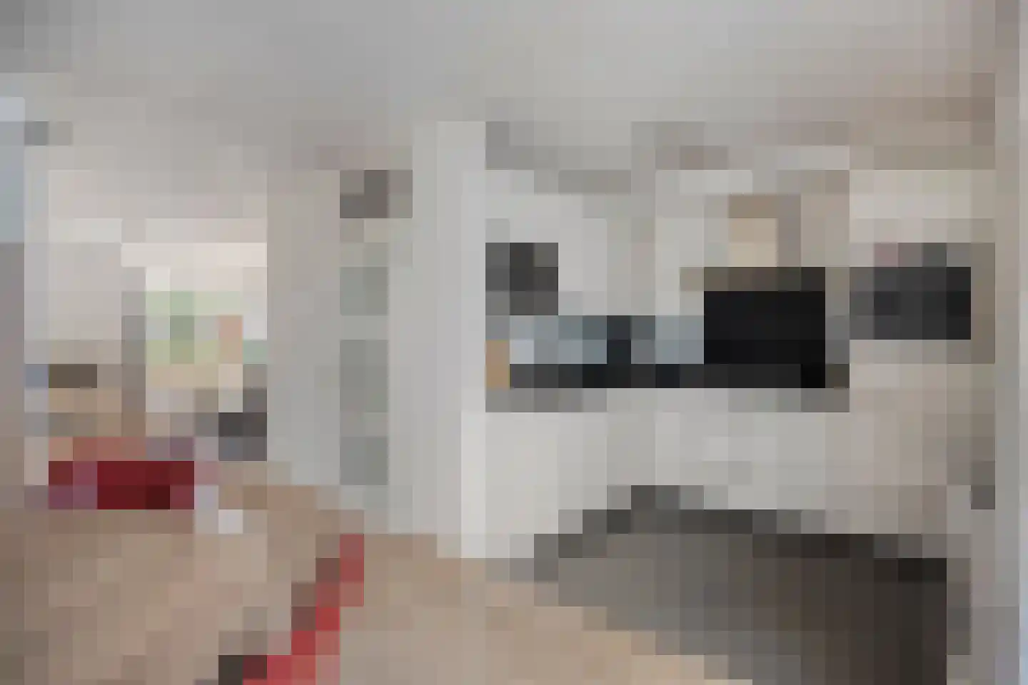 Iman van den Boschlaan 34 Waalre thumbnail 23