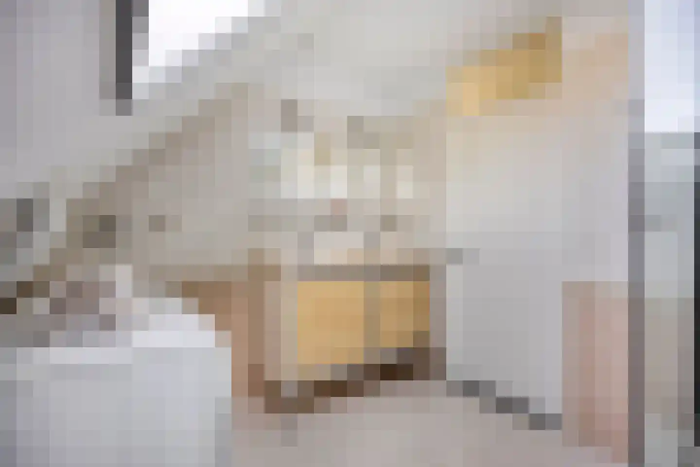 Iman van den Boschlaan 34 Waalre thumbnail 32