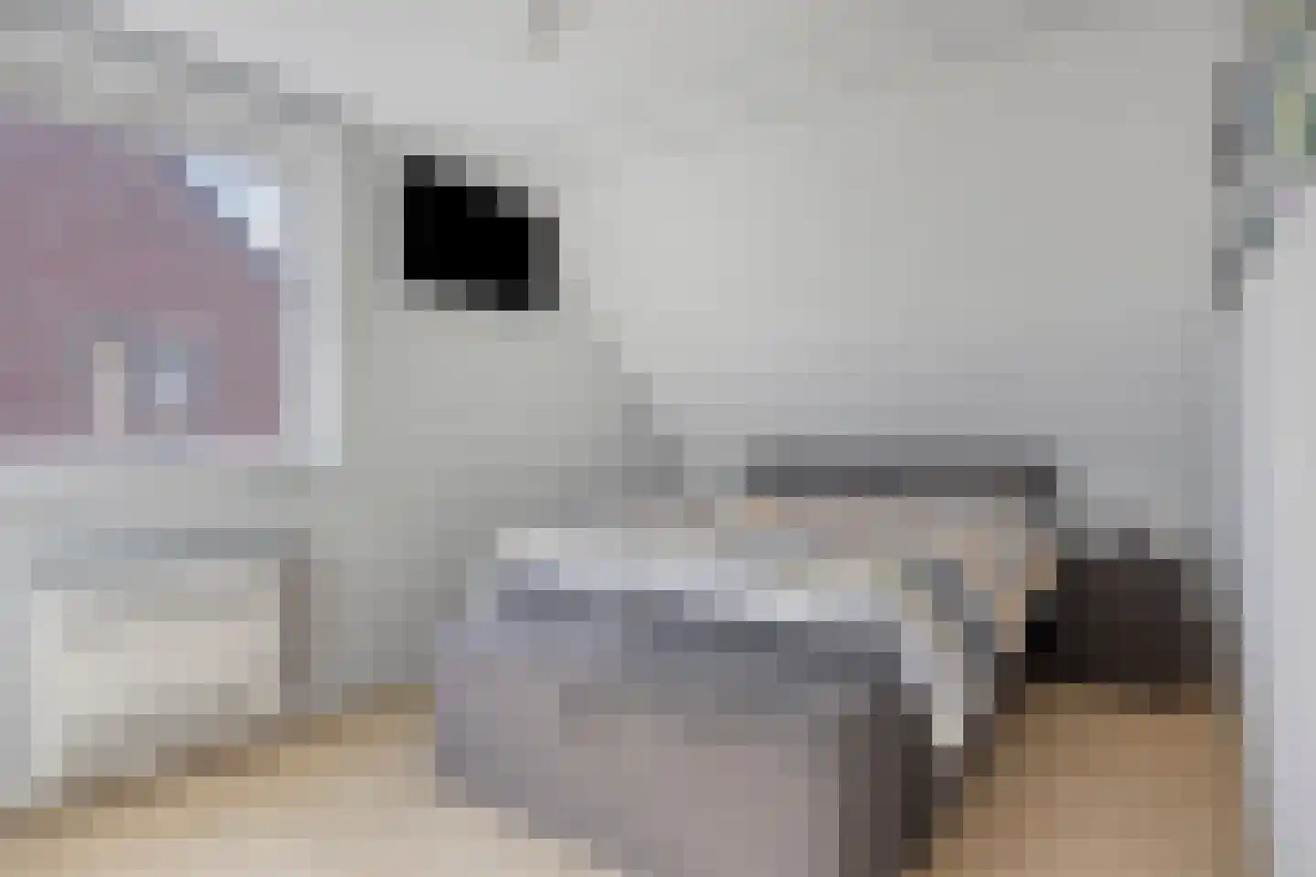 Iman van den Boschlaan 34 Waalre thumbnail 4