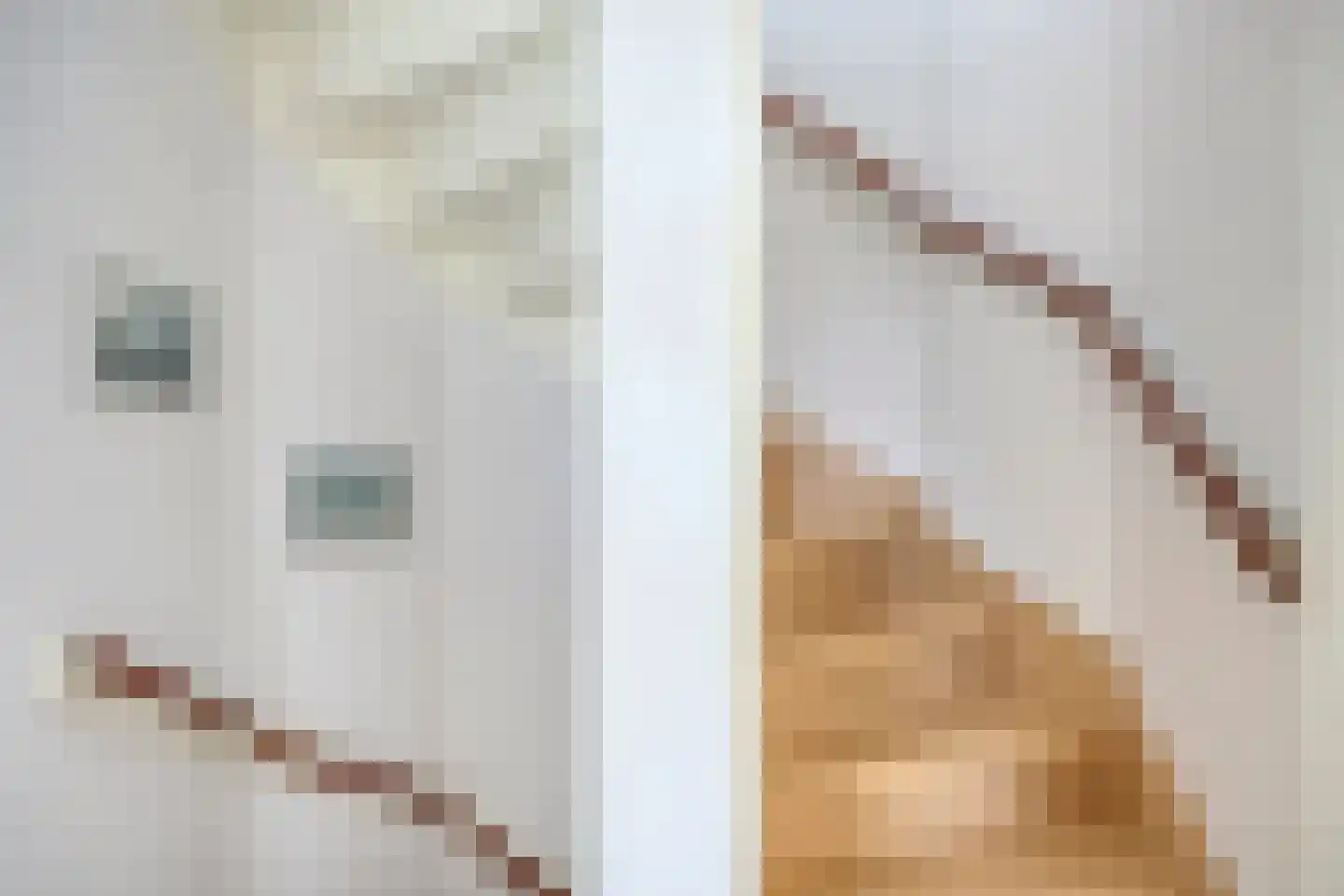 Iman van den Boschlaan 34 Waalre thumbnail 40