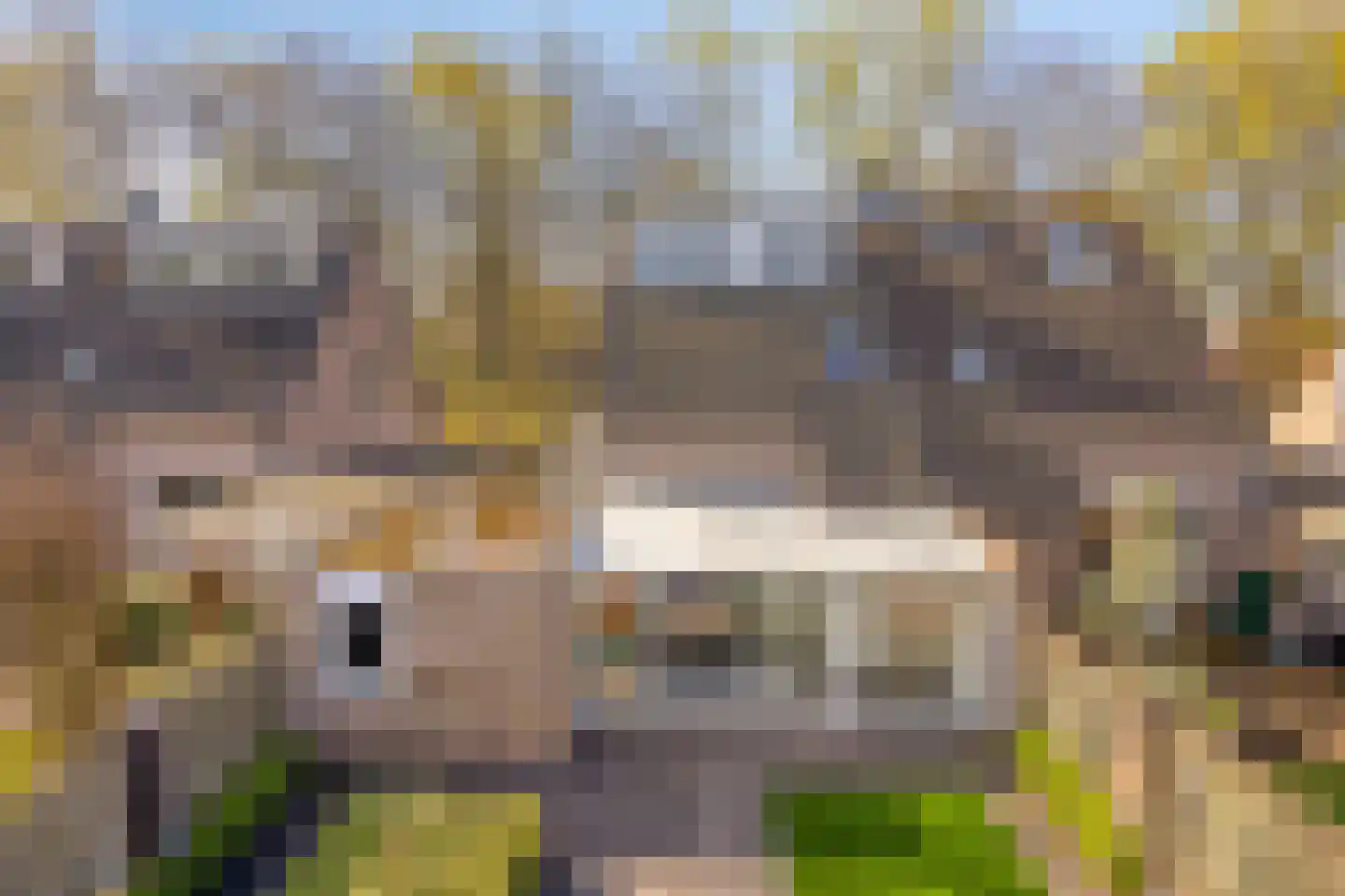 Iman van den Boschlaan 34 Waalre thumbnail 51