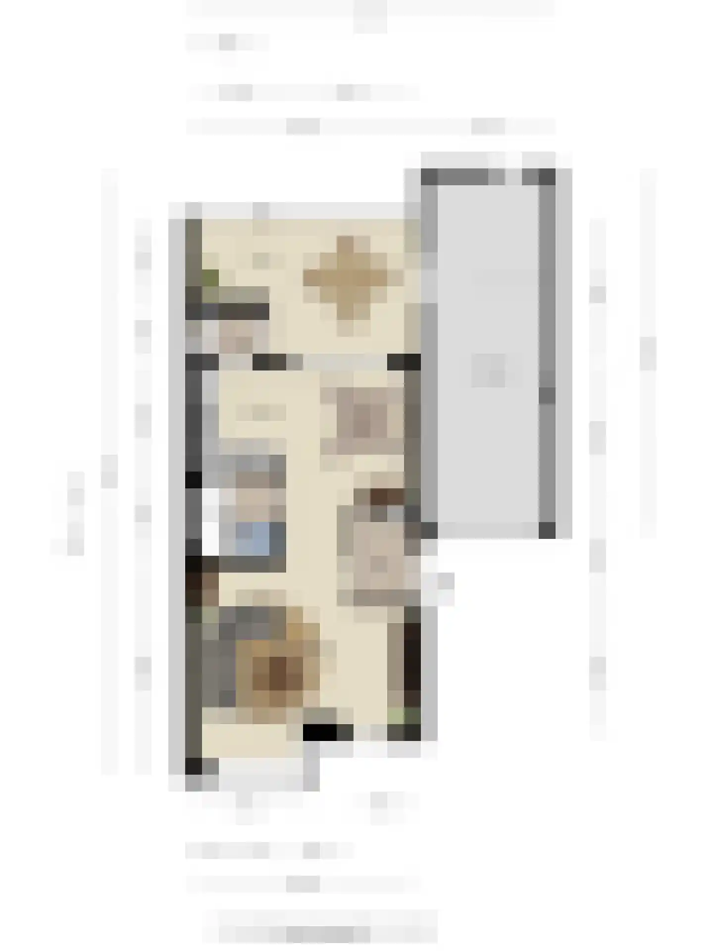 Iman van den Boschlaan 34 Waalre thumbnail 68