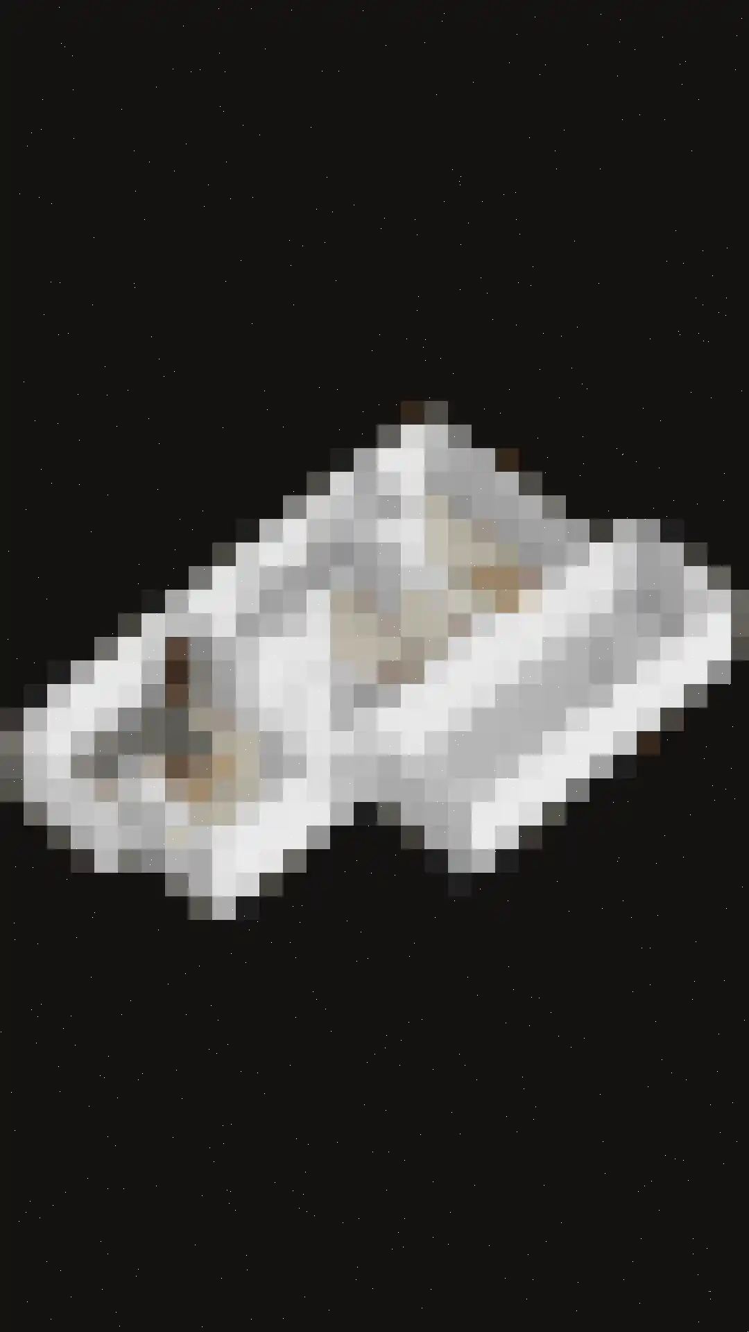 Iman van den Boschlaan 34 Waalre thumbnail 69