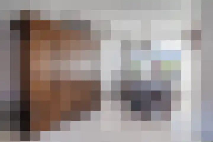 Iman van den Boschstraat 17 Oss thumbnail 7