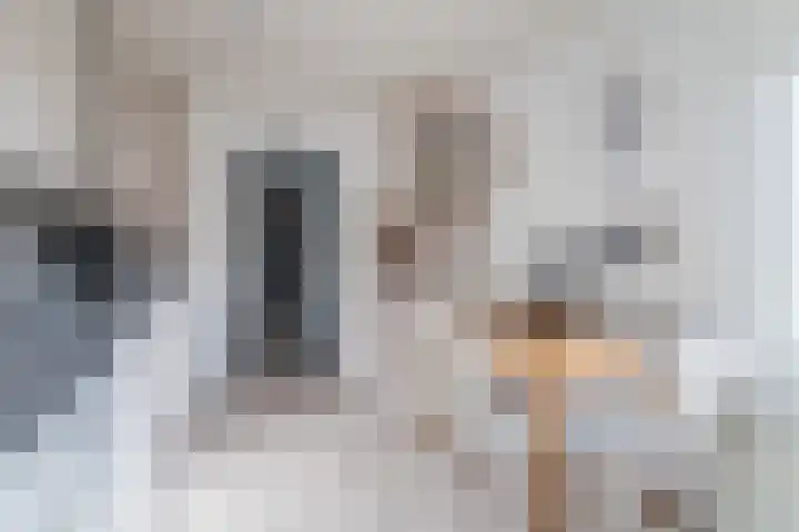 Iman van den Boschstraat 17 Oss thumbnail 9