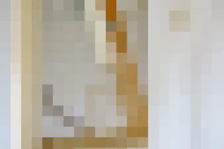 Iman van den Boschstraat 18 Oss thumbnail 10