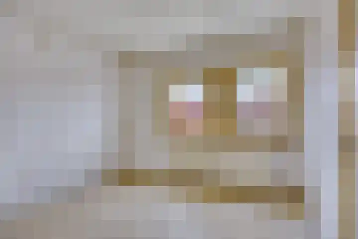 Iman van den Boschstraat 18 Oss thumbnail 13