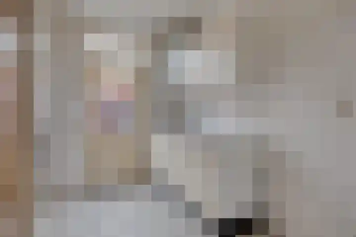 Iman van den Boschstraat 18 Oss thumbnail 8