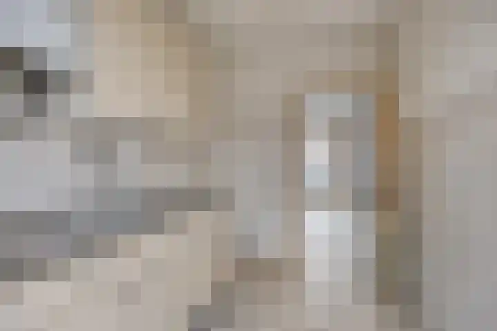 Iman van den Boschstraat 18 Oss thumbnail 9