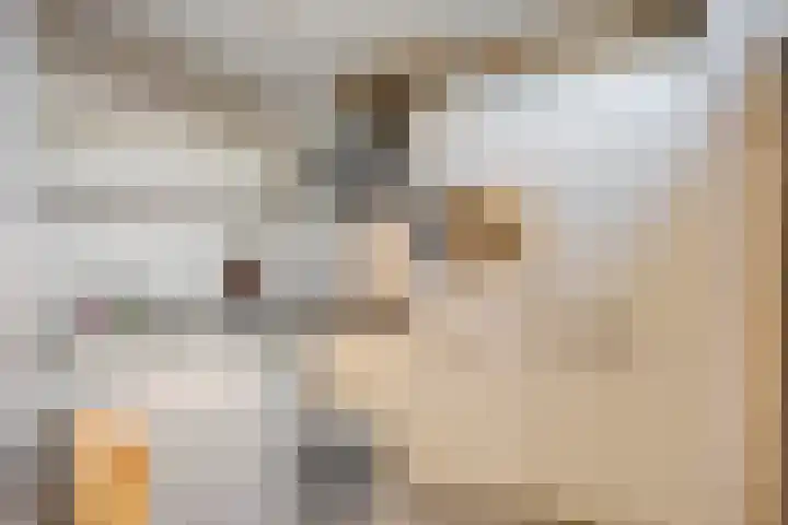 Iman van den Boschstraat 36 Oss thumbnail 10