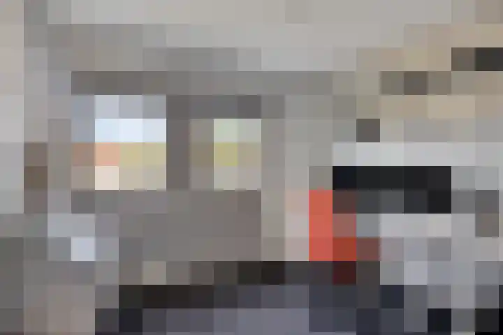 Iman van den Boschstraat 36 Oss thumbnail 15
