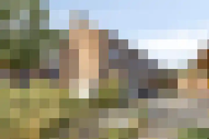 Iman van den Boschstraat 36 Oss thumbnail 20