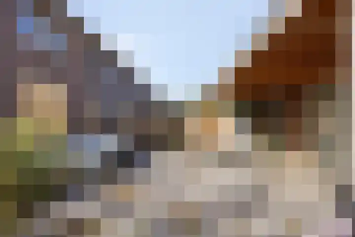 Iman van den Boschstraat 36 Oss thumbnail 21