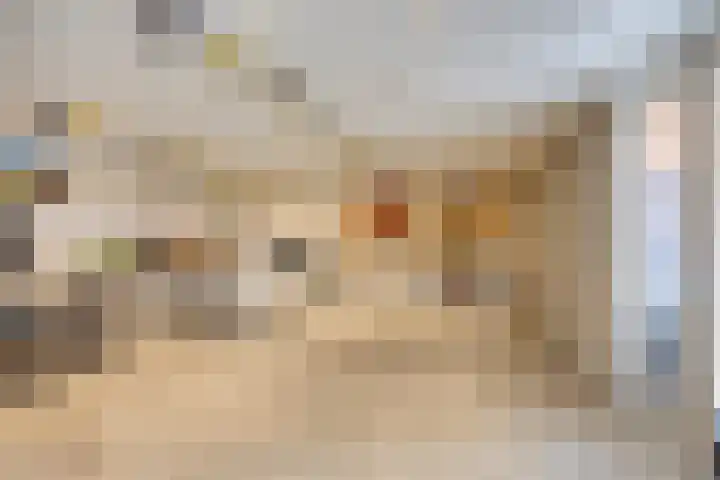 Iman van den Boschstraat 36 Oss thumbnail 25