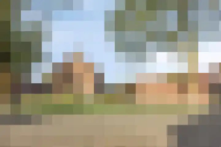 Iman van den Boschstraat 36 Oss thumbnail 27