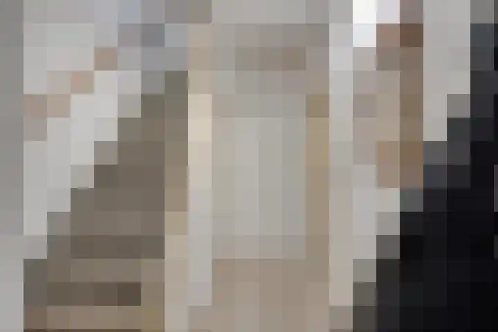 Iman van den Boschstraat 36 Oss thumbnail 5