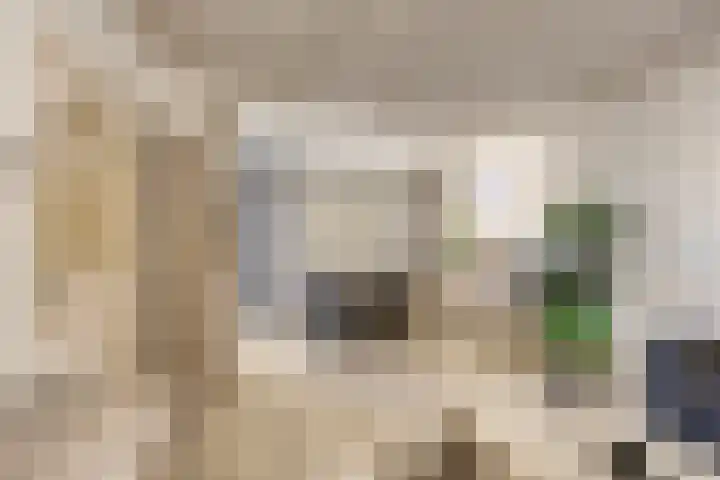 Iman van den Boschstraat 36 Oss thumbnail 7