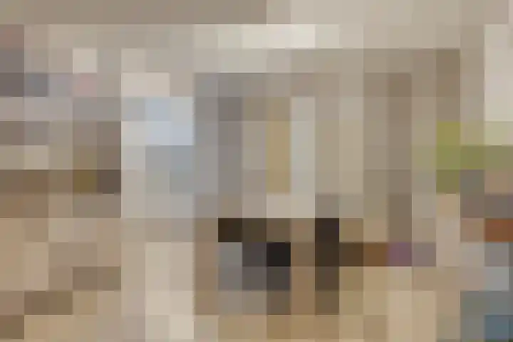 Iman van den Boschstraat 36 Oss thumbnail 8