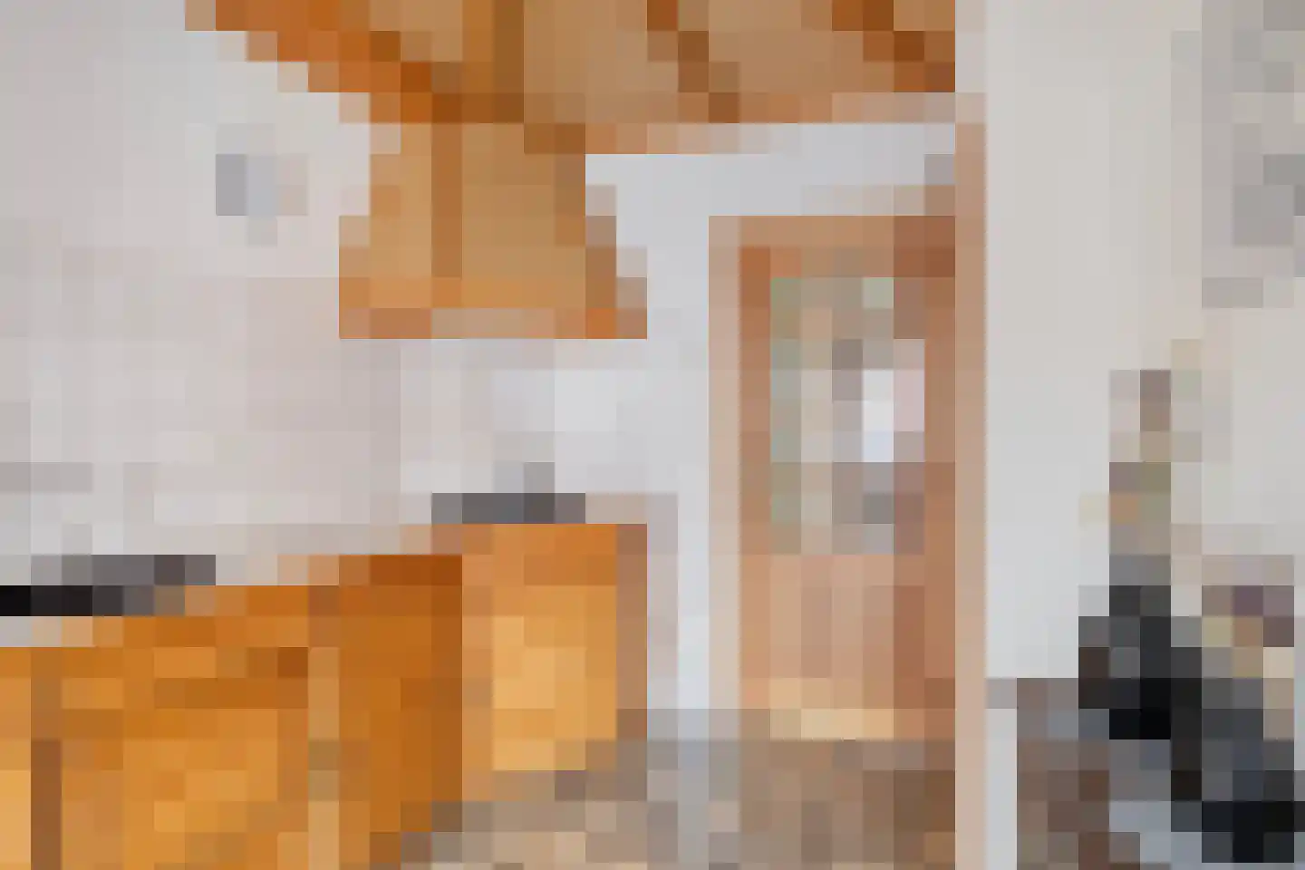 Iman van den Boschstraat 44 Oss thumbnail 12