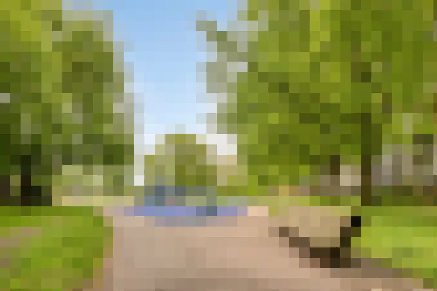 Iman van den Boschstraat 44 Oss thumbnail 37