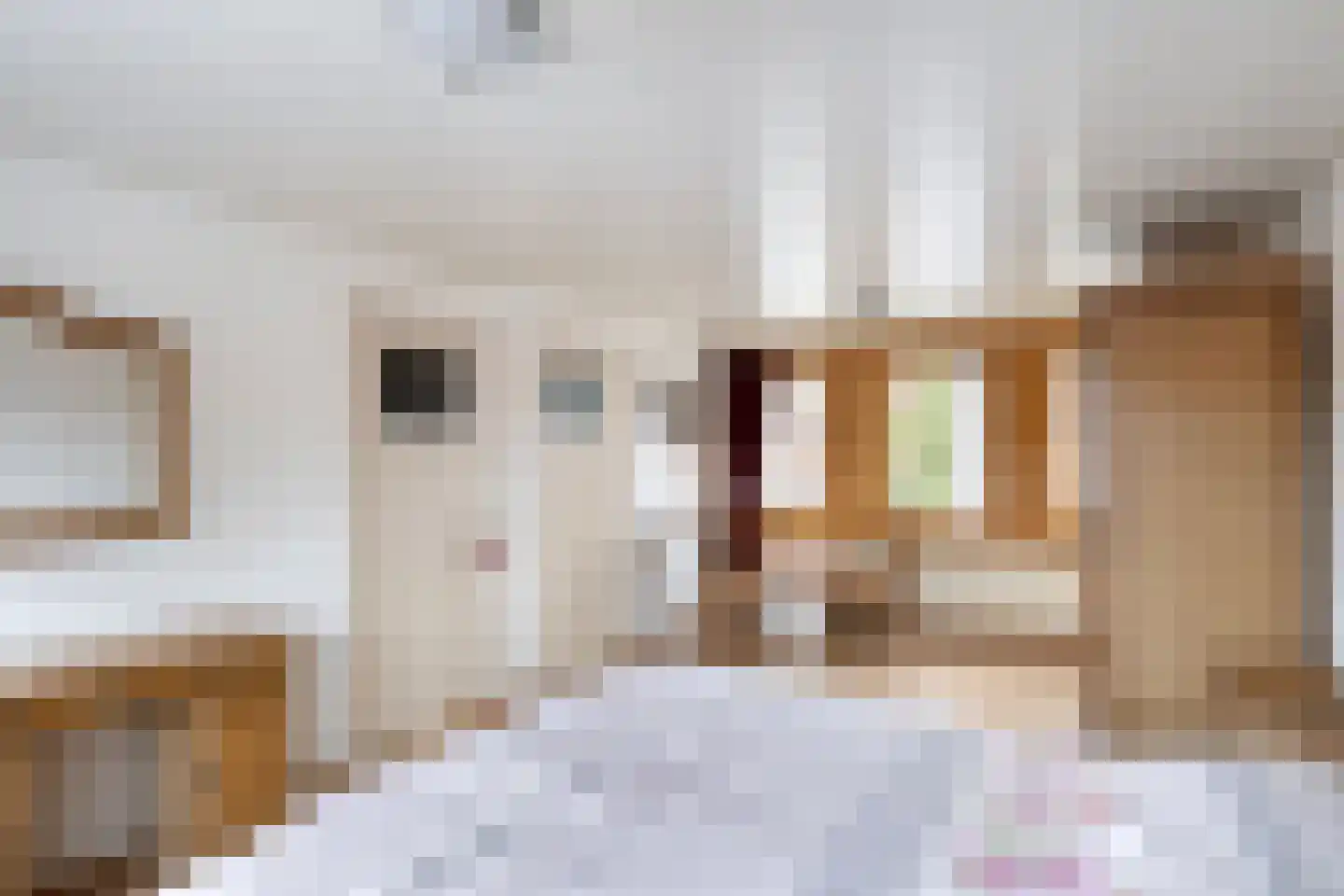 Iman van den Boschstraat 44 Oss thumbnail 4